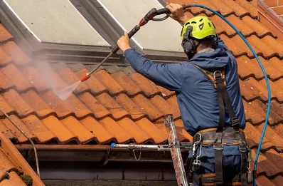Démoussage et hydrofuge de toiture à Lamanère